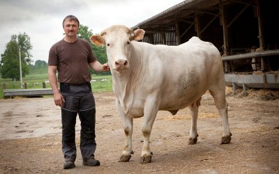 02_ChâteauBoeuf_Paumier