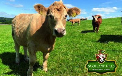 C1622DEB-EC41-477C-A3DA-9D546C45D111