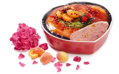 21005_Grobe_Leberpate_mit_Aprikosen